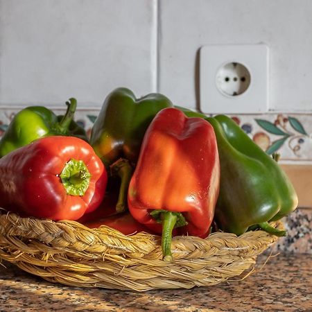 נרחה Apartment Nieves 1 מראה חיצוני תמונה